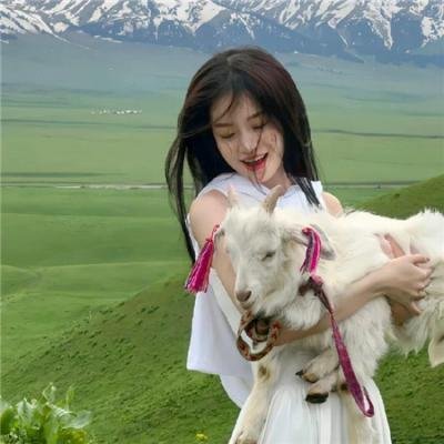 名校风暴第七季