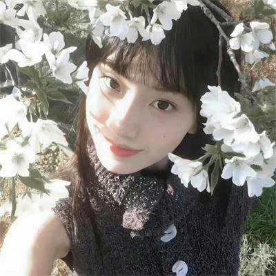 森林随处可见